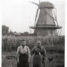 The windmill at Fabyan Forest...