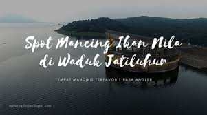 Ikan nila banyak menjadi pilihan bagi peternak ikan untuk dibudidayakan karena proses pemeliharaannya yang terbilang tidak sulit dan nilai jualnya yang tinggi. Spot Mancing Ikan Nila Di Waduk Jatiluhur Jaya Essen 23 May 2019 Berita Warga Atmago Warga Bantu Warga