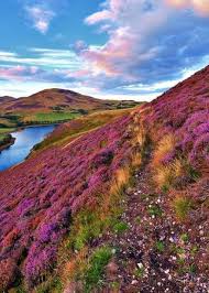 Das lässt sich besonders gut im wattenmeer beobachten. Irland Landschaftsfruhling England Grossbritannien 67 Beste Ideen Schone Orte Landschaft Naturfotografie