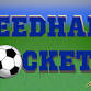 NHS Varsity Girls Soccer vs. Concord Carlisle event in Needham, MA