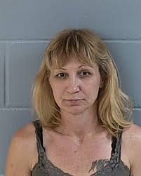 Levy County Sheriff's Star