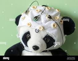 Image result for tbn:0DAOHh2-xx0FjM::www.3roos.com/postsimages/d60e3afe16044b303e40d5e60727bae6.jpg