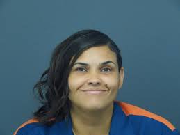 Offender Tracking Information System (OTIS)