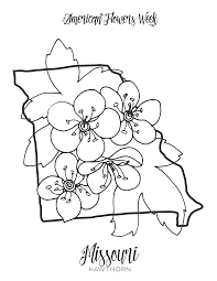 50 state flowers free coloring pages american flowers week