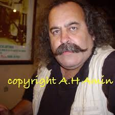 Military History Review-Elizabeth Stice Misperceptions