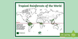 These forests experience rainfall throughout the year, with minimal dry seasons in between. Free Rainforest Map Ks2 Reference Sheet Teacher Made