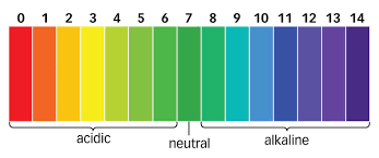 Ph Scale Chart Science Britney Slabbert