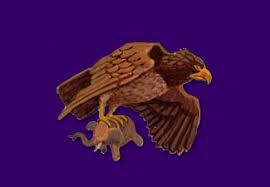 Roc Amnh