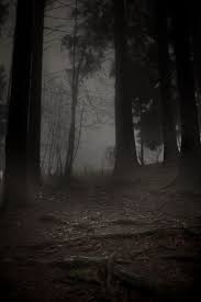Nyctohlophobia Fear Of The Dark Wooden Areas Of The Forest At Night Night Forest Scenery Forest