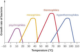 temperature and microbial growth microbiology