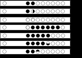 Carnatic Flute