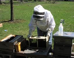 The growth near the hive would provide some nearby. Beekeeping 101 Diy Beekeeping Supplies Plans And Ideas