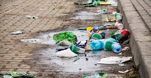 Trash And Litter Present Problems That Many People May Not Be Aware Of Stay Informed About How Littering Affects Your Health Econ City Clean Litter Trash Art