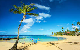 She is a genius using permanent sign vinyl creating masterpiece mosaic canvas and surfboards. Selling Kauai The Garden Island S Latest Products And Deals Travel Agent Central