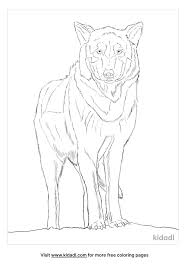 The set includes 30 different designs of wolves available in our membership library. Northwestern Wolf Coloring Pages Free Animals Coloring Pages Kidadl