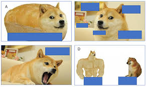 This is a slang word used to associate with interesting pictures of a shiba inu dog known as kabosu, also nicknamed as shibe. Zk7ftop4mmgowm
