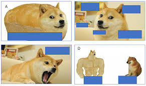 Doge, the ridiculously photogenic internet meme with a flighty grasp of grammar is owning the internet right now. Zk7ftop4mmgowm