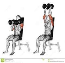 Exercising Dumbbell Seated Shoulder Press Parallel Grip Download From Over 45 Mi Epaules Musculation Musculation Biceps Exercices De Musculation Pour Hommes