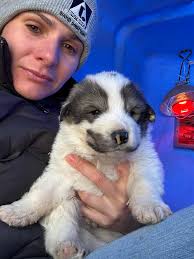 Dodgeville, Wisconsin (See comments for an updated picture)