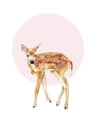Reh Portrat Zeichnung Kunstdruck Illustration Poster Janine Etsy Rehkitz Zeichnung Rehe Zeichnen
