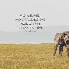 Praise Song To The Elephant By Credo Mutwa Praise Songs Credo Spiritual Poems