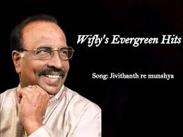 Tuje Sobit Don Dolle