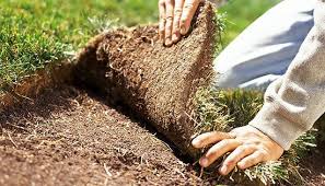 This Is The Absolute Best Time To Lay Sod Low Maintenance Landscaping Front Yard Landscaping Lawn Care