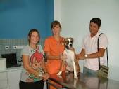 Clínica veterinaria en Sevilla, Sevilla. Nexo Veterinarios.