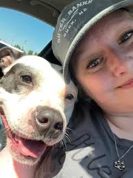 Ohio State University cat check-up with a furry friend
