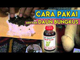 Hasil gambar untuk minyak daun bungkus