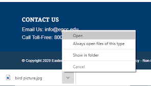 Are you still wondering how people are snagging music, movies and more for free on their computer? Google Chrome Download File