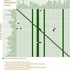 Apple Pollination Synchronization Chart 40 Download