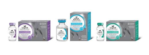 Legend (Hyaluronate Sodium) Injectable Solution, AI generated