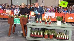 Wondering how much direct sunlight cannabis needs to grow properly outdoors? How To Grow Herbs Martha Stewart S Tips On Sun Soil Water And More