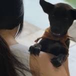 25 June 4PM Puppy Yoga Bali - Canggu