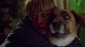 IDLE HANDS (1999) is a slacker horror/comedy with surprisingly okay horror.  Too bad the comedy is abysmal. | by Eric Langberg | Everything's  Interesting | Medium