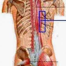 Check spelling or type a new query. Pakar Urutan Tuan Sakit Belikat Atau Dikenali Sebagai Scapulocostal Syndrome Adalah Penyakit Otot Dan Sendi Yang Sering Berlaku Ia Selalunya Melibatkan Bahagian Tulang Belikat Atau Skapula Dan Bahagian Belakang Bahu Bagaimanapun
