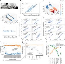Maybe you would like to learn more about one of these? A Molecular Gradient Along The Longitudinal Axis Of The Human Hippocampus Informs Large Scale Behavioral Systems Nature Communications