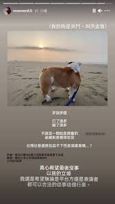 嗨嗨 各位小哥哥大家好啊 如果你是長期都有在關注 swag 的忠實用戶，一定知道最近有位新人 swagger，不但每支影片都超賣座、人氣排行榜中，甚至多次登上熱門第一名，而且她的人氣還正在強. Yi87m5jpr Qpom