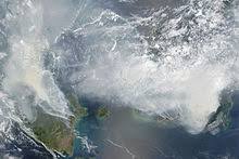 Penukaran tanah dari hutan kepada pertanian telah mengakibatkan berlakunya penebangan hutan. Penebangan Hutan Di Borneo Wikipedia Bahasa Melayu Ensiklopedia Bebas