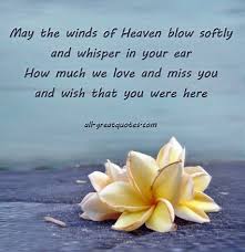 Quotes About Loved Ones In Heaven 25 Quotes