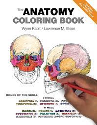 Health coloring pages and worksheets niehs kids pages dr. Kapit Elson Anatomy Coloring Book The Pearson