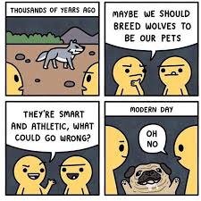 Pug Life Magazine Snortttfarrrrrthonkkkkreversesneeze Imadog Funny Animal Memes Funny Relatable Memes Stupid Funny Memes