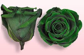 Beautifully preserved flowers make for a special gift that can be cherished forever. Preserved Roses