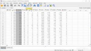 Please return to the locker for a new code on july 1st. Download Ibm Spss Statistics 27 0 1 0