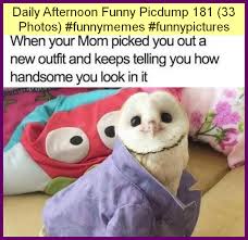 Wonderful Daily Afternoon Funny Picdump 181 33 Photos Funnymemes Funnypictures Humor 2020