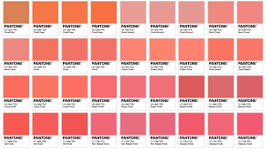 Have you ever dreamed of a happy pink home? Salmon Color Pantone