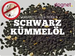 wundermittel schwarzkummelol schwarzkummelol hund schwarzkummel zecken