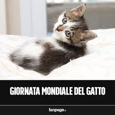 La giornata mondiale del gatto è una celebrazione che viene festeggiata in tutto il mondo l'8 agosto, così come già accennato. Facebook