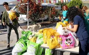 2 Ton Mama Bagisi Sokak Hayvanlari Ile Bulustu Miyhav Com